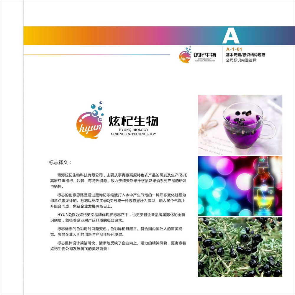 炫杞生物VIS設(shè)計(jì)手冊(cè)
